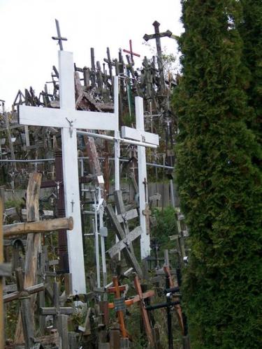 Kreuze in Litauen (100_0169.JPG) wird geladen. Eindrucksvolle Fotos aus Lettland erwarten Sie.